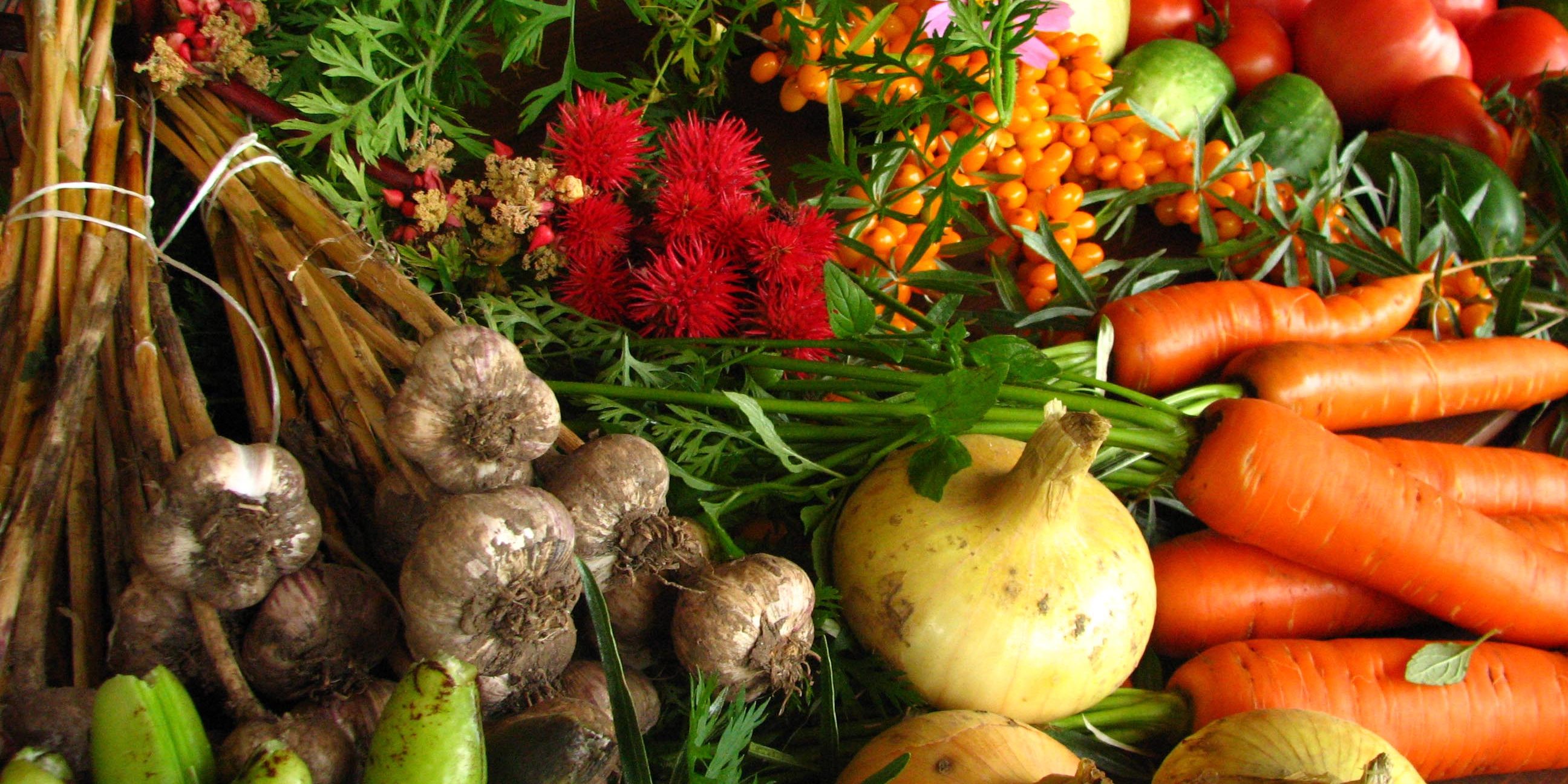 ecologically_grown_vegetables