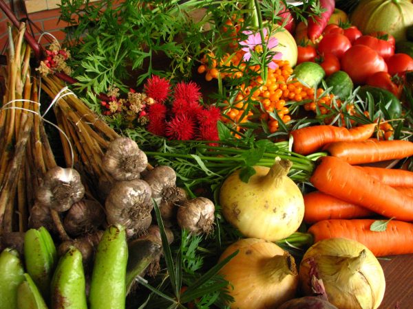 ecologically_grown_vegetables