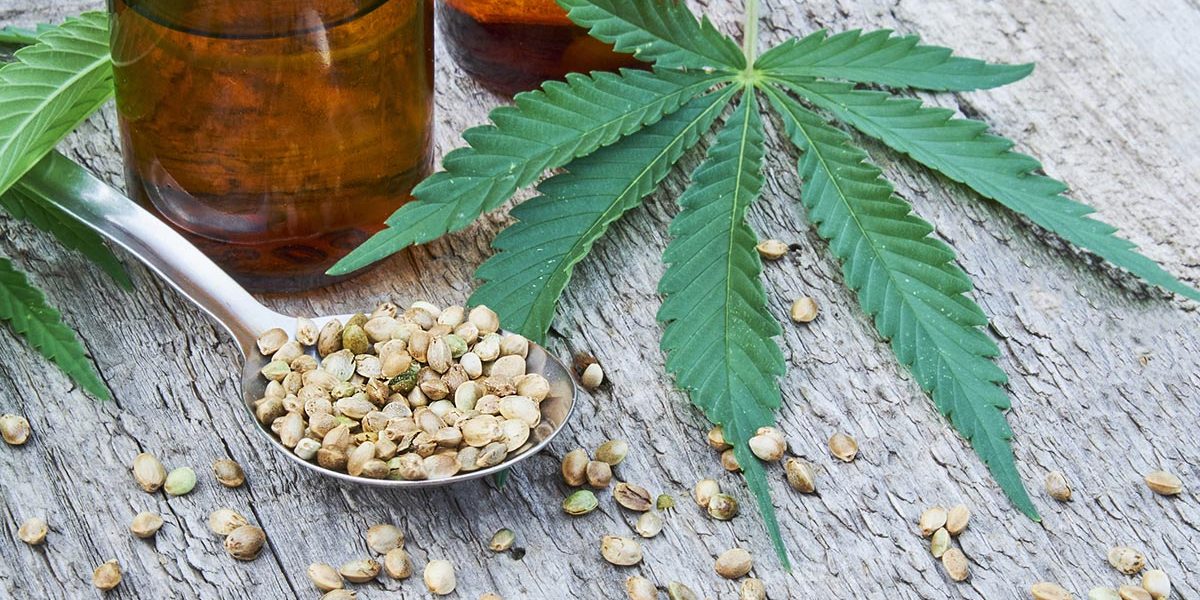 hemp leaves on wooden background, seeds, cannabis oil extracts in jars